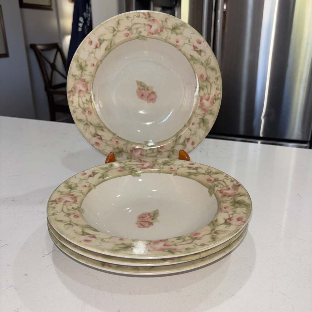 222 Fifth Savannah by Cheri Blum Rim Soup Bowls, Set of 4